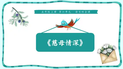《慈母情深》语文教学PPT课件(4篇)