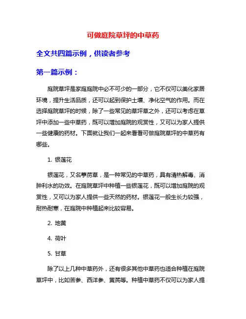 可做庭院草坪的中草药