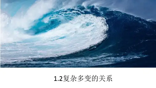 复杂多变的关系 部编版道德与法治九年级下册