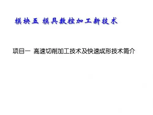 模具数控加工技术模块五 模具数控加工新技术 (1)
