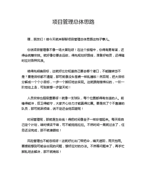 项目管理总体思路