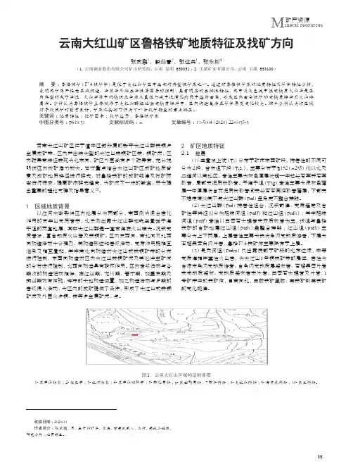 云南大红山矿区鲁格铁矿地质特征及找矿方向
