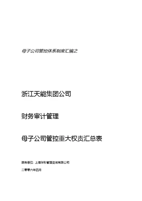 天能集团财务审计母子公司重大权责划分表