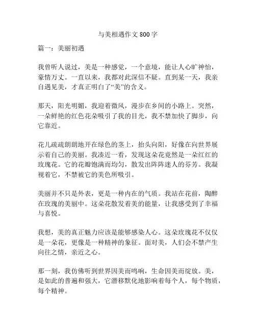 与美相遇作文800字