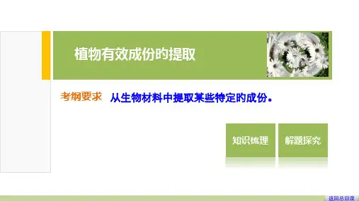 植物有效成分的提取