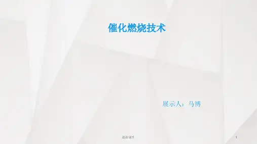 催化燃烧技术ppt课件
