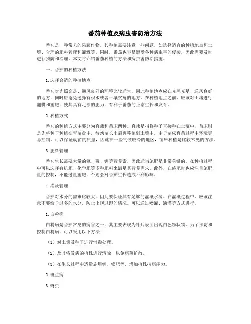 番茄种植及病虫害防治方法