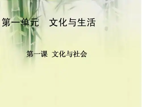 高二第1讲第1课 文化与生活Microsoft PowerPoint 演示文稿