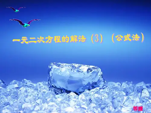 一元二次方程的解法 公式法 课件