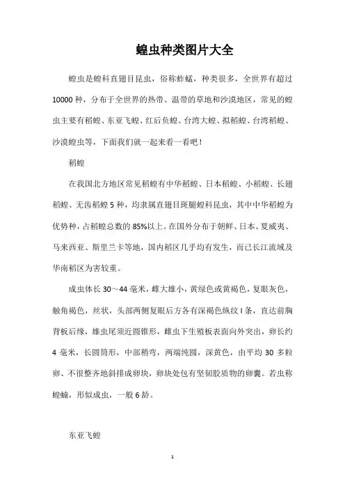 蝗虫种类图片大全
