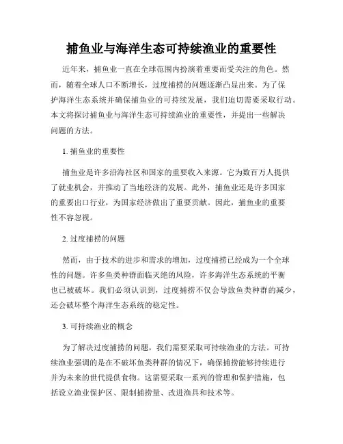 捕鱼业与海洋生态可持续渔业的重要性