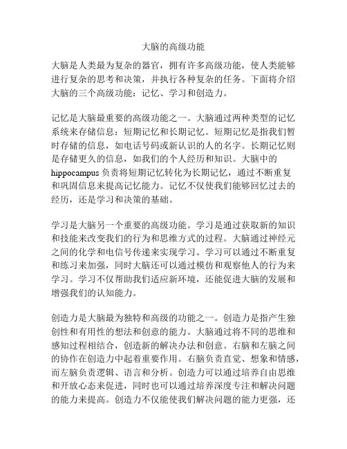 大脑的高级功能