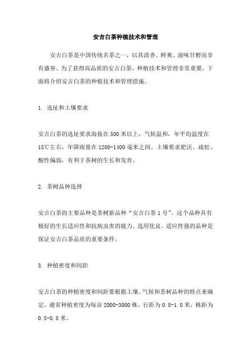 安吉白茶种植技术和管理