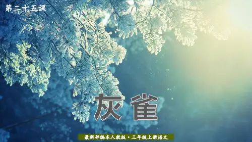 语文三年级上册：25灰雀 课件 部编版