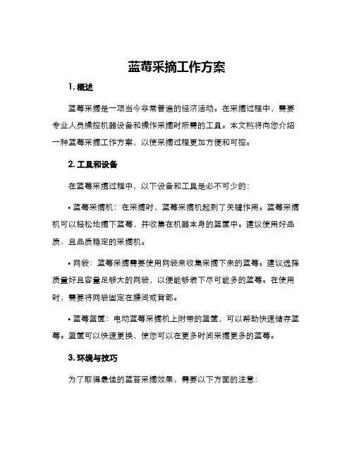 蓝莓采摘工作方案