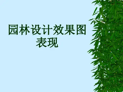 透视图