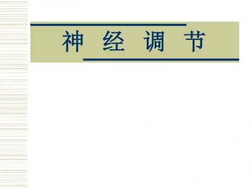 《神经调节》PPT课件