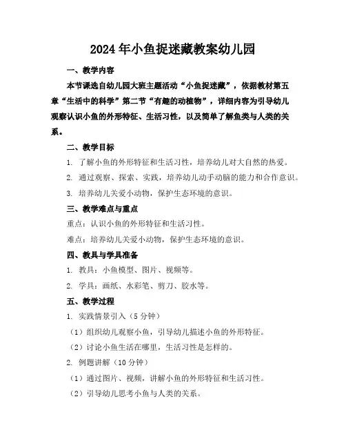 2024年小鱼捉迷藏教案幼儿园