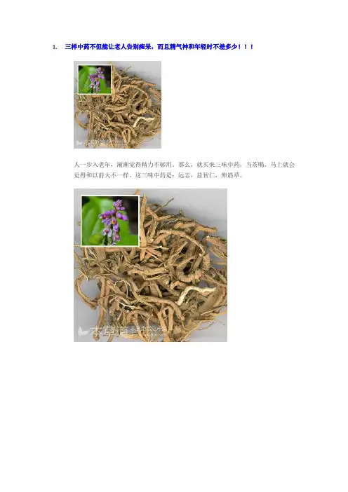 三样中药不但能让老人告别痴呆,而且精气神和年轻时不差多少!