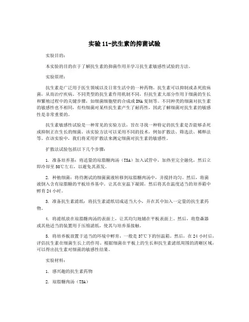 实验11-抗生素的抑菌试验