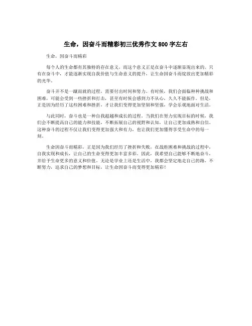 生命,因奋斗而精彩初三优秀作文800字左右