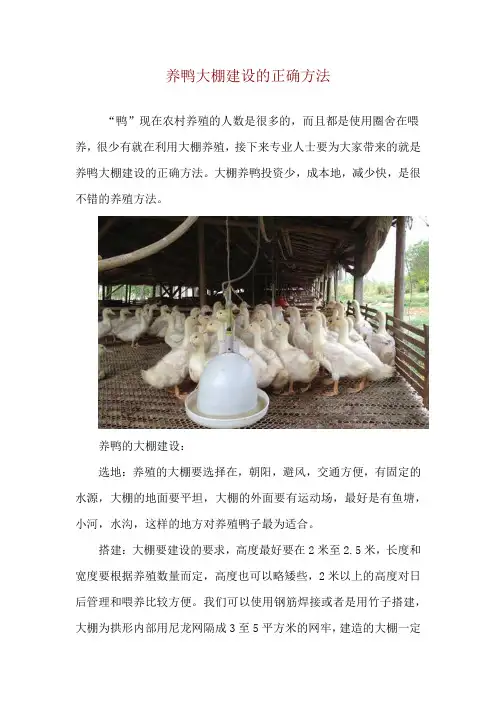 养鸭大棚建设的正确方法