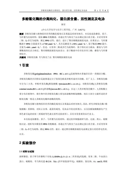 多酚氧化酶的分离纯化、蛋白质含量、活性测定及电泳