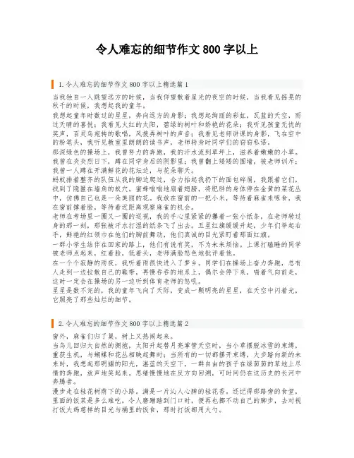 令人难忘的细节作文800字以上