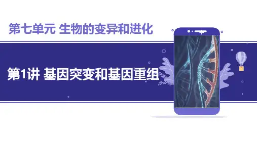 高三生物一轮复习课件： 基因突变和基因重组