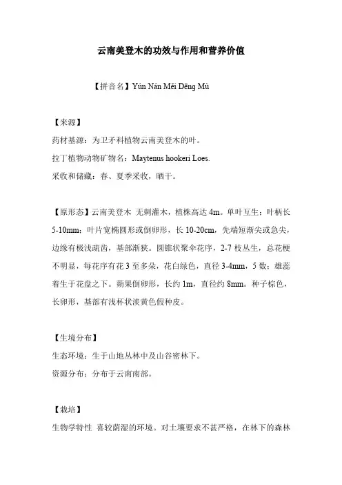 云南美登木的功效与作用和营养价值