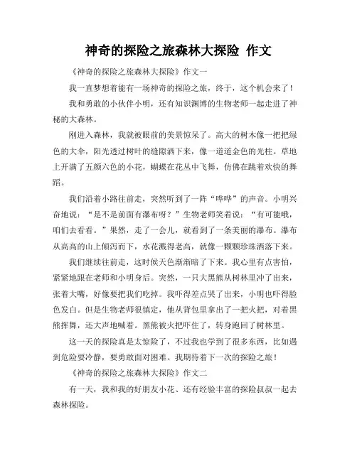 神奇的探险之旅森林大探险 作文