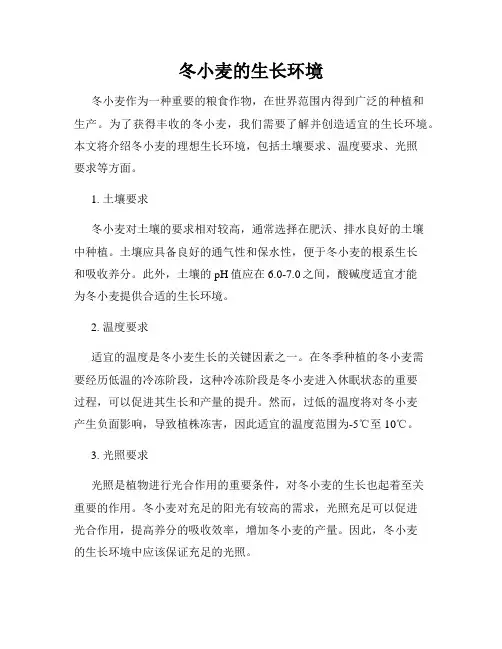 冬小麦的生长环境