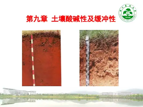 影响土壤酸碱性的因素南方多雨