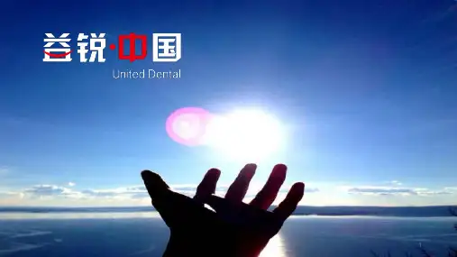 益锐-机用根管锉的使用ppt课件