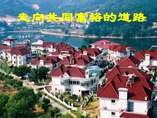 走向共同富裕的道路(2)PPT课件