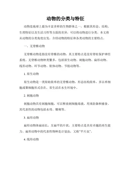 动物的分类与特征