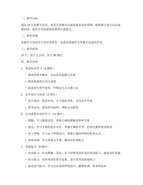 培训班自由泳教学计划方案