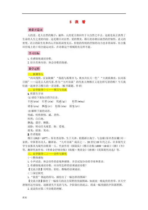 《我看》优秀教案