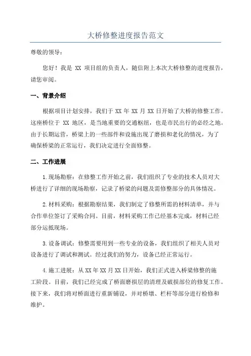 大桥修整进度报告范文