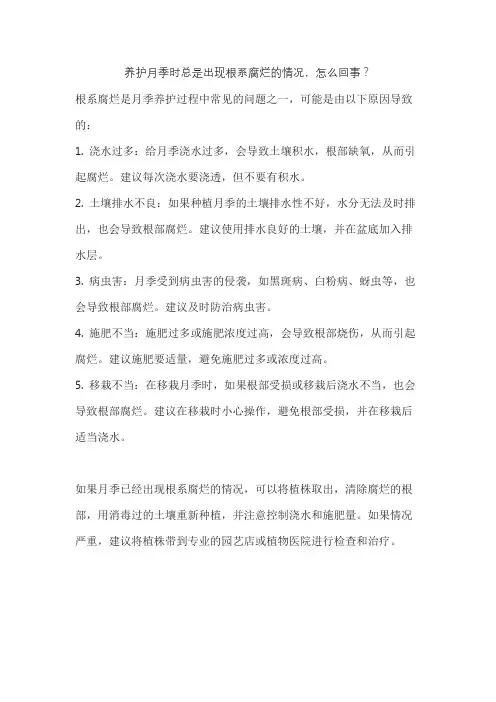 养护月季时总是出现根系腐烂的情况,怎么回事？