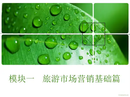 三分析旅游消费者购买行为