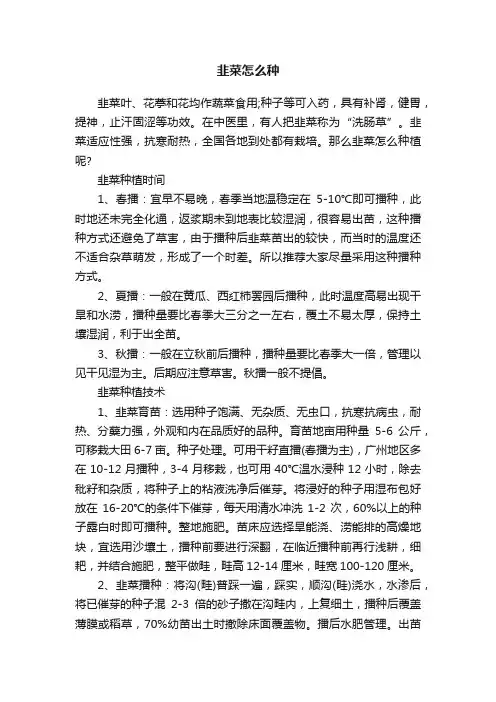 韭菜怎么种