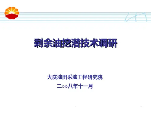 剩余油挖潜技术研究与应用PPT课件