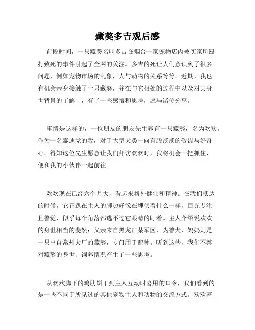 藏獒多吉观后感