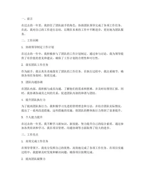 副手个人工作总结