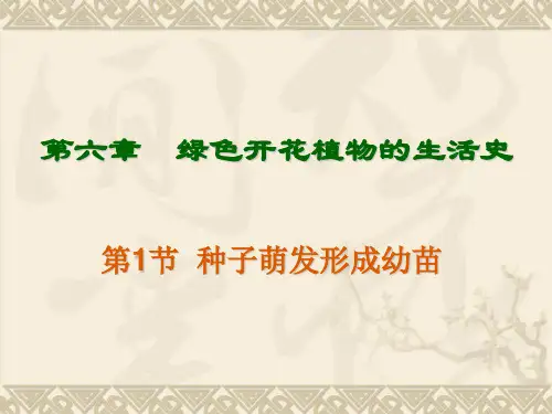 种子萌发形成幼苗2.PPT课件