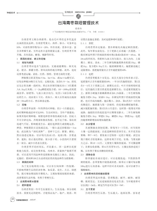 台湾青枣栽培管理技术