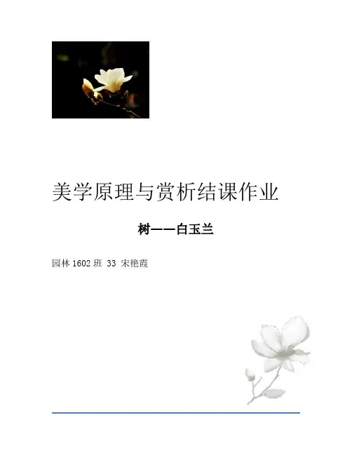 美学原理与赏析结课作业