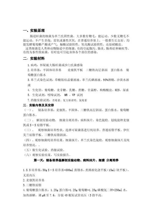 微生物实验设计报告