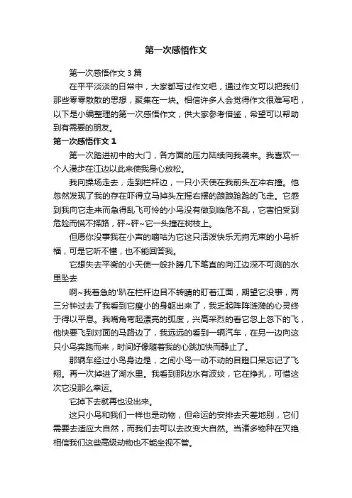 第一次感悟作文3篇
